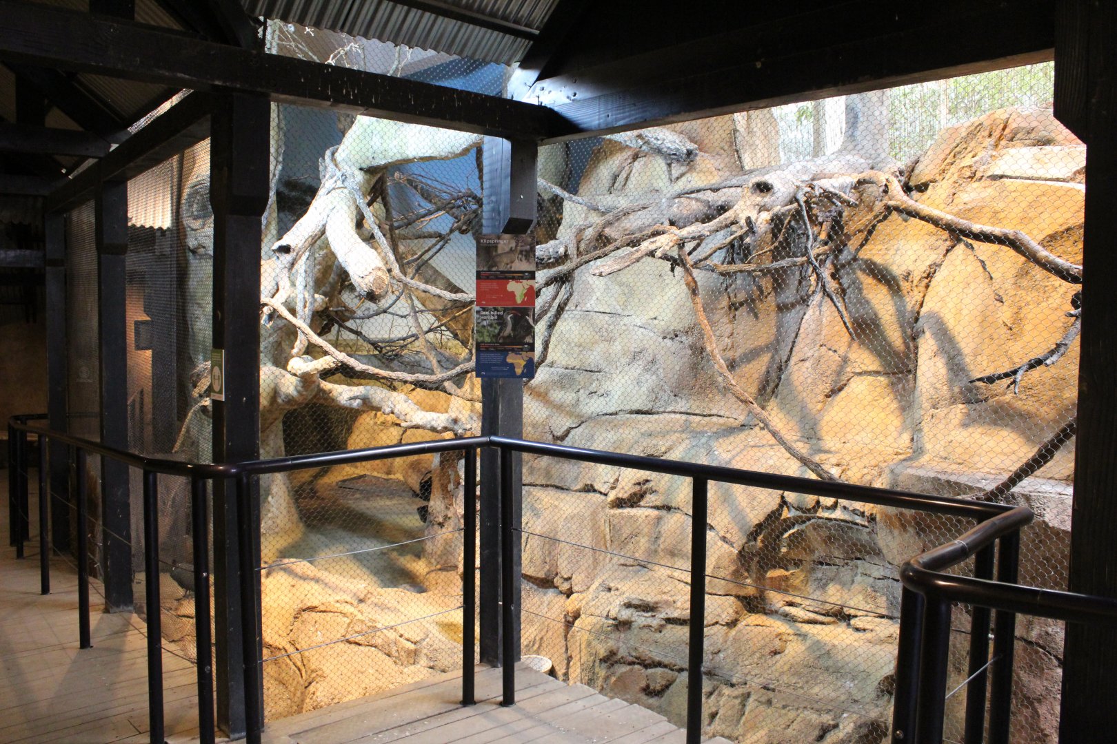 African Journey - Kopje Aviary