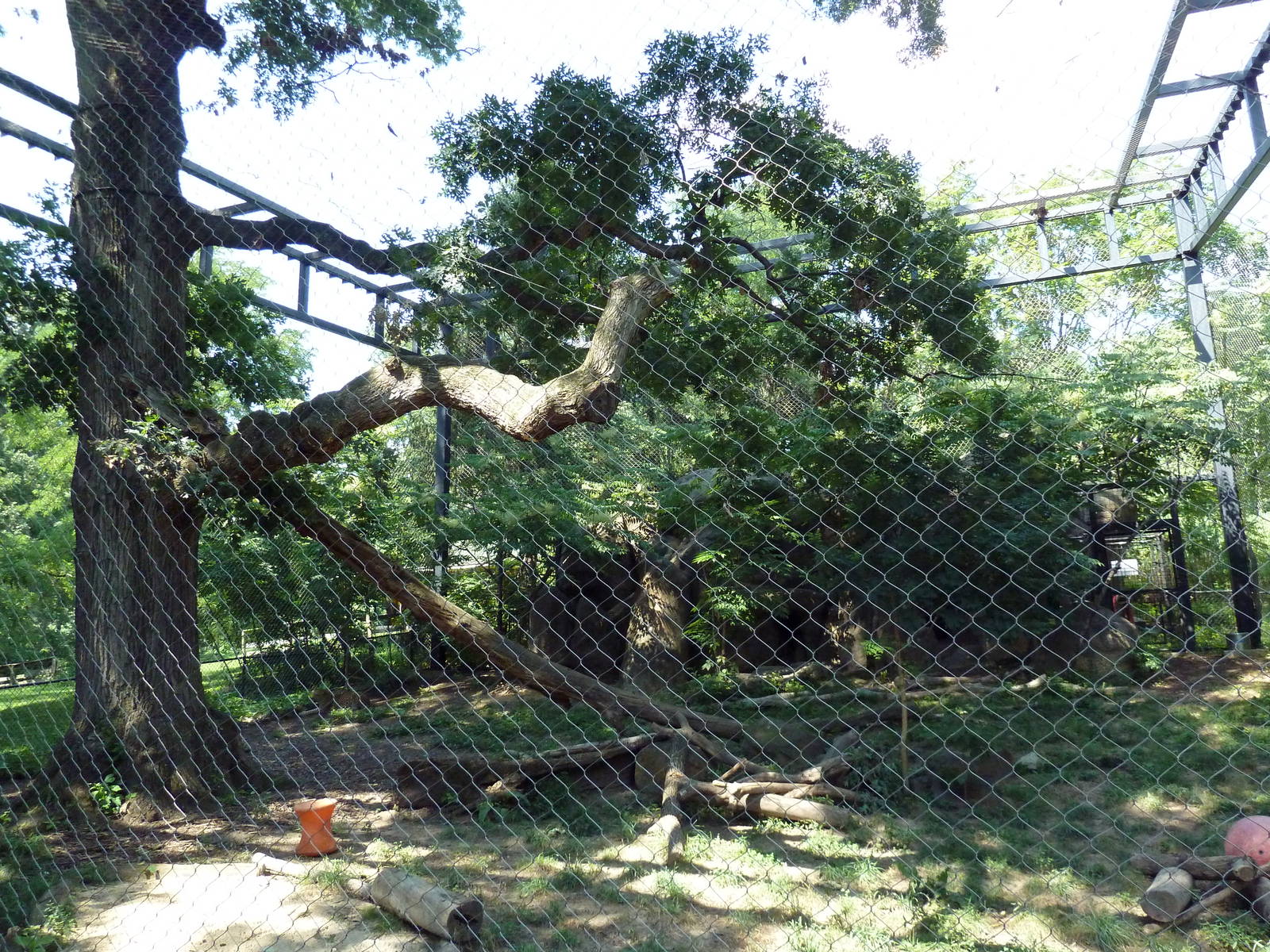 African Journey - Leopard Exhibit