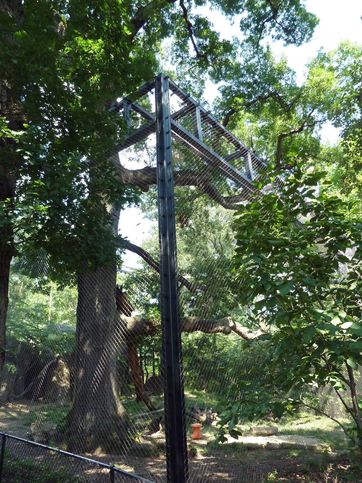 African Journey - Leopard Exhibit