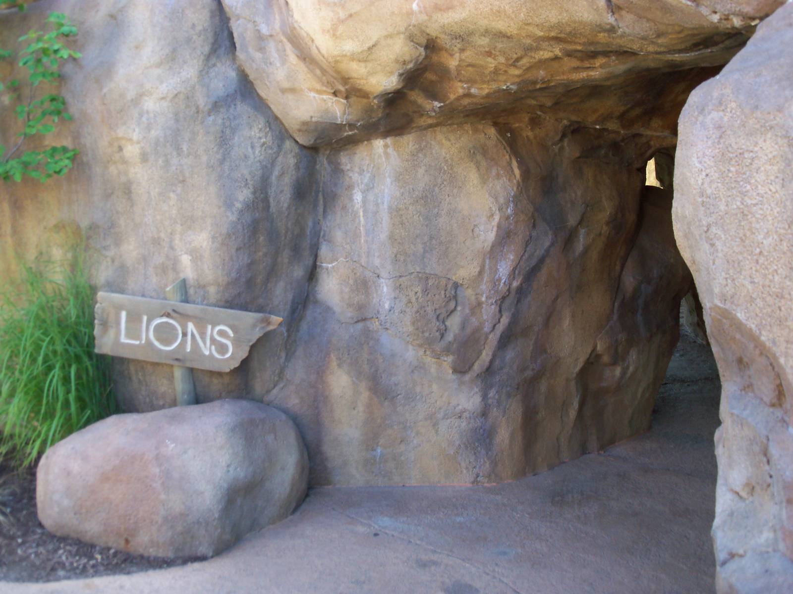 African Journey - Lion Exhibit Entrance