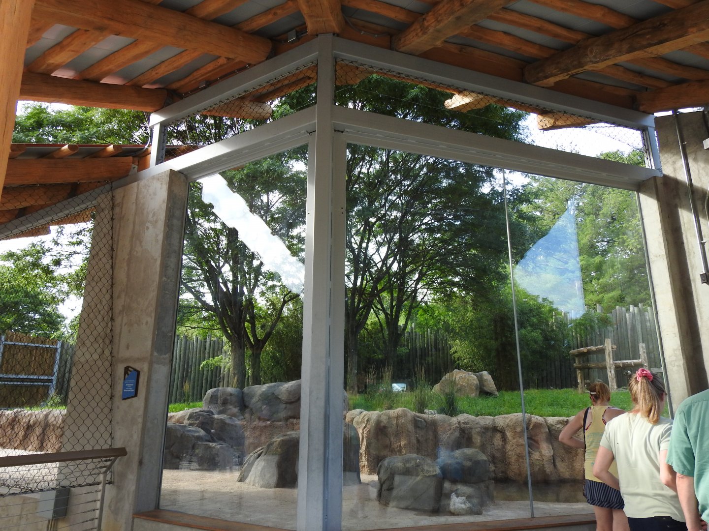 African Journey Lion Exhibit - June 2019