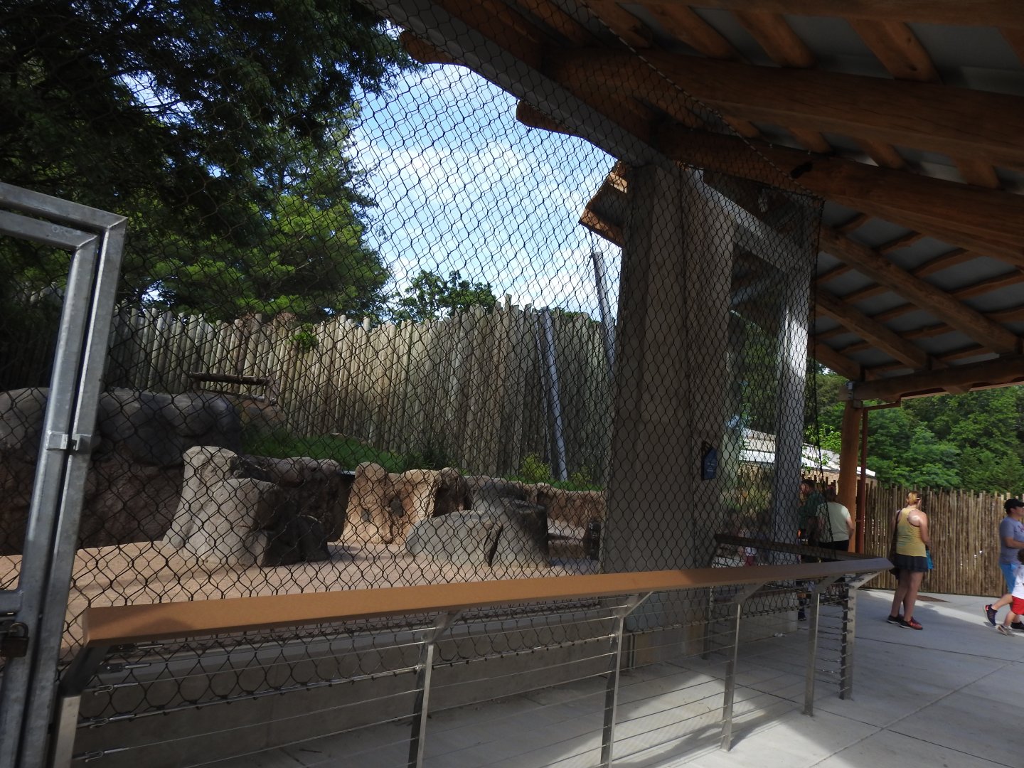 African Journey Lion Exhibit - June 2019