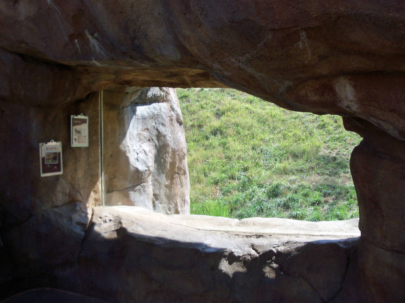 African Journey - Lion Exhibit