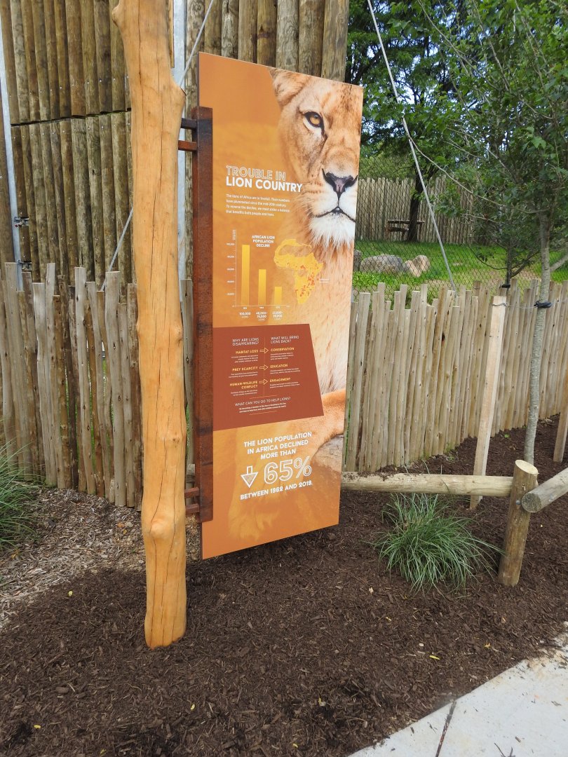 African Journey Lion SIgnage