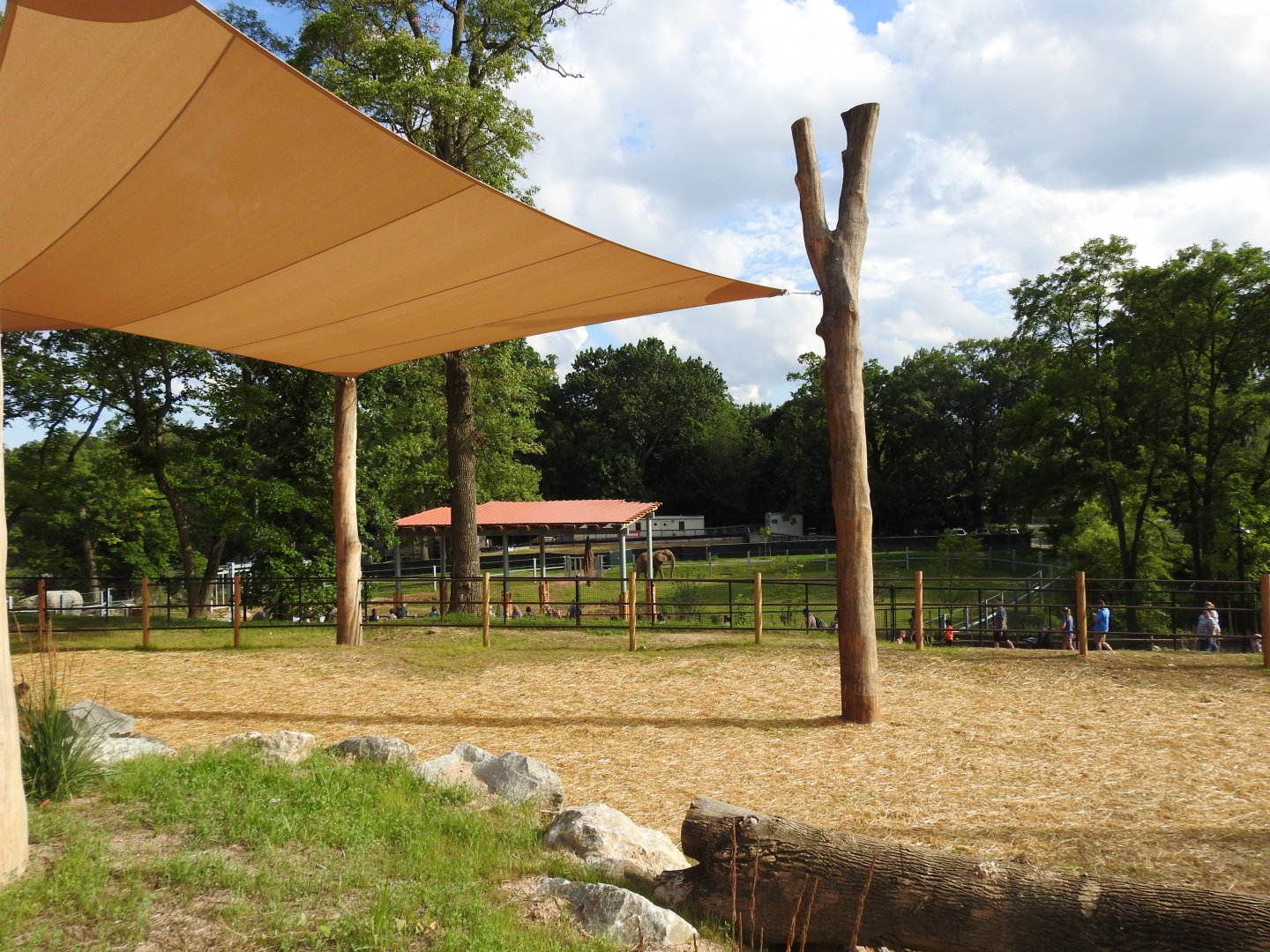 African Journey Long Giraffe Yard - June 2019