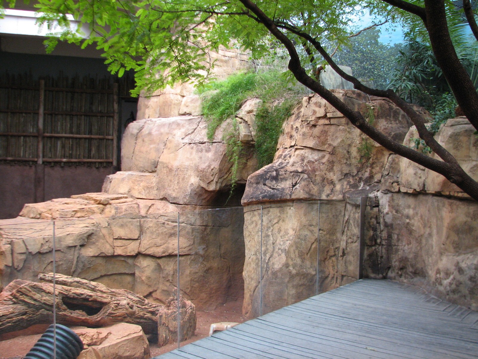 African Journey - Meerkat Exhibit
