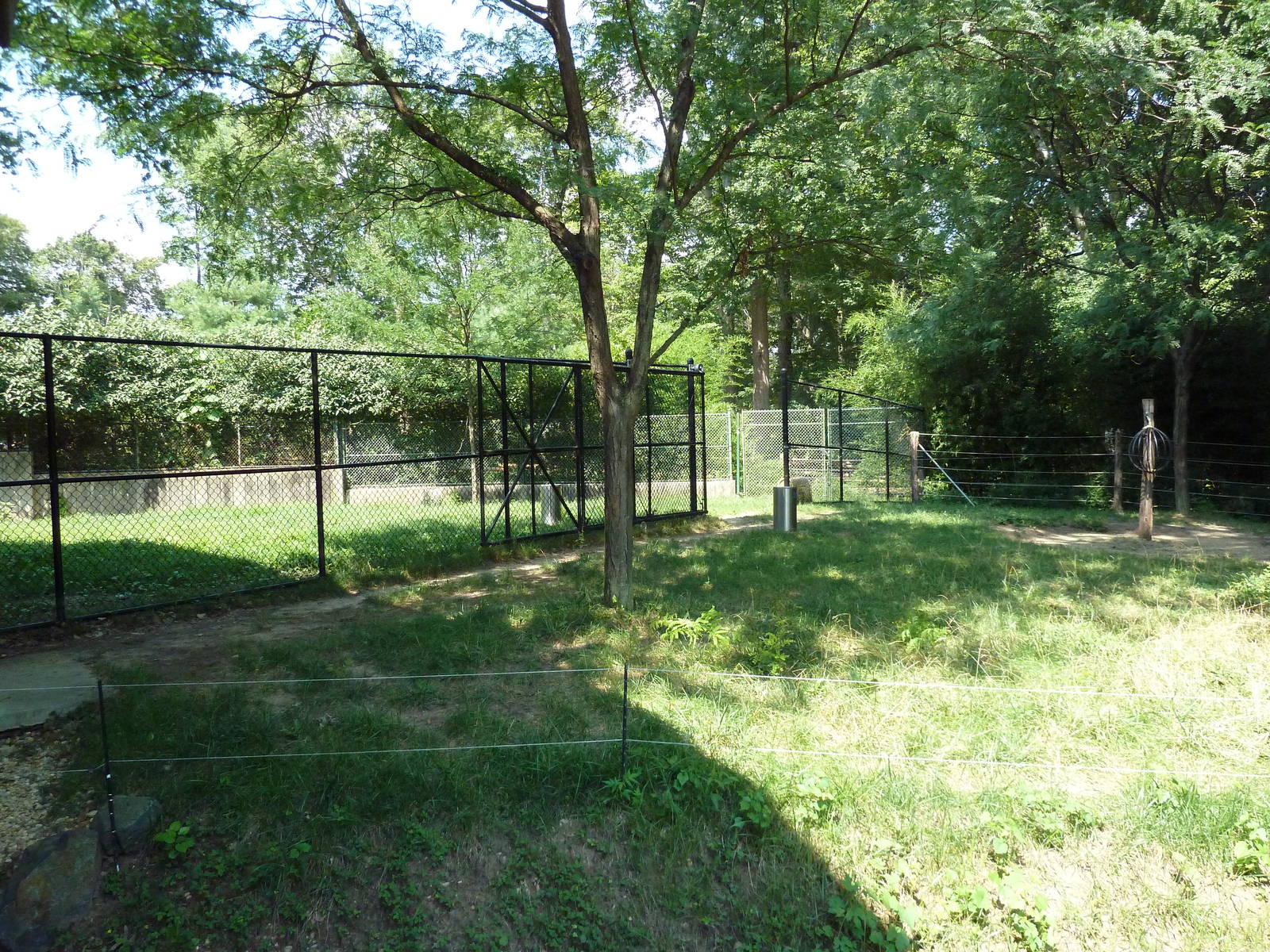 African Journey - Okapi Exhibit