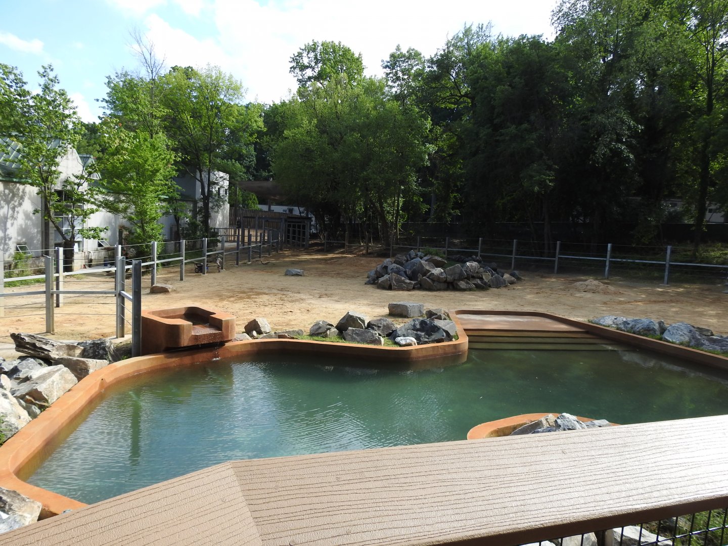 African Journey Original Elephant Yard - June 2019