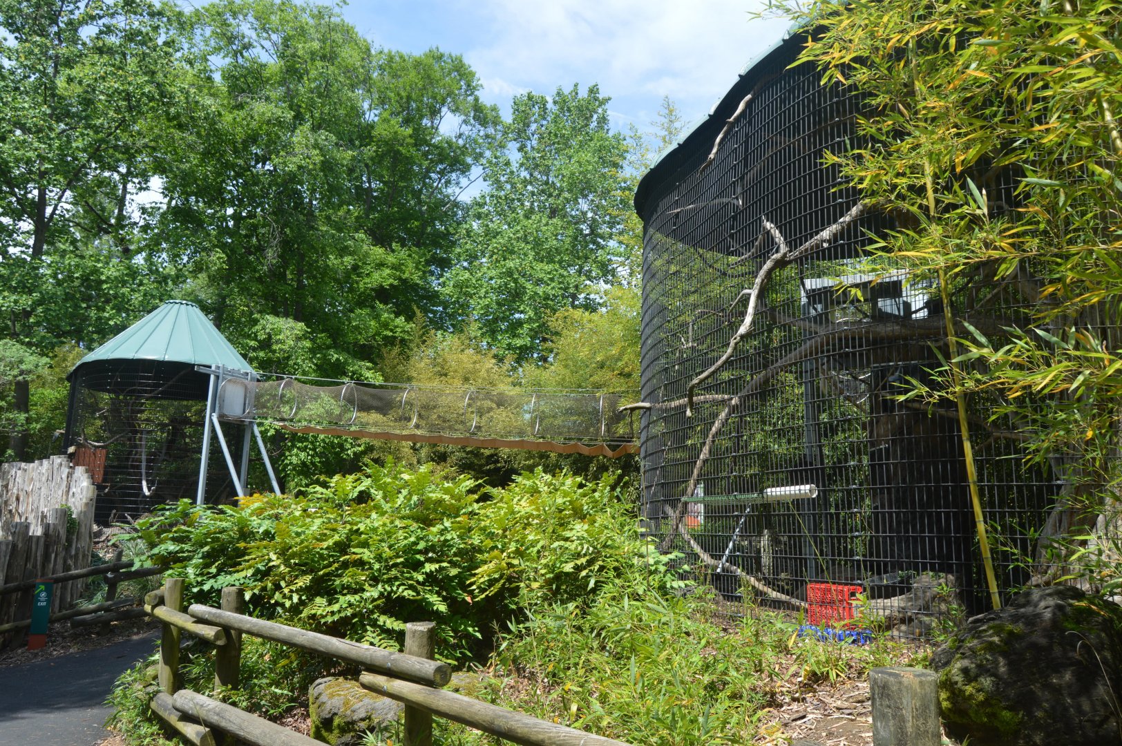African Journey - Primate Exhibits