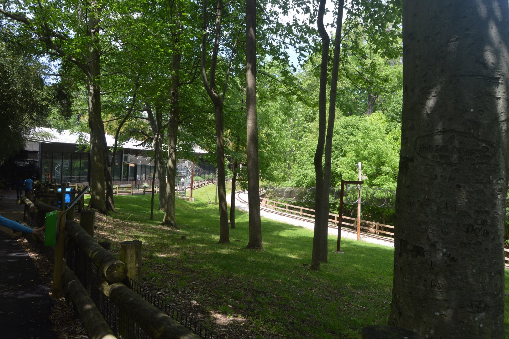 African Journey - Primate Trail System