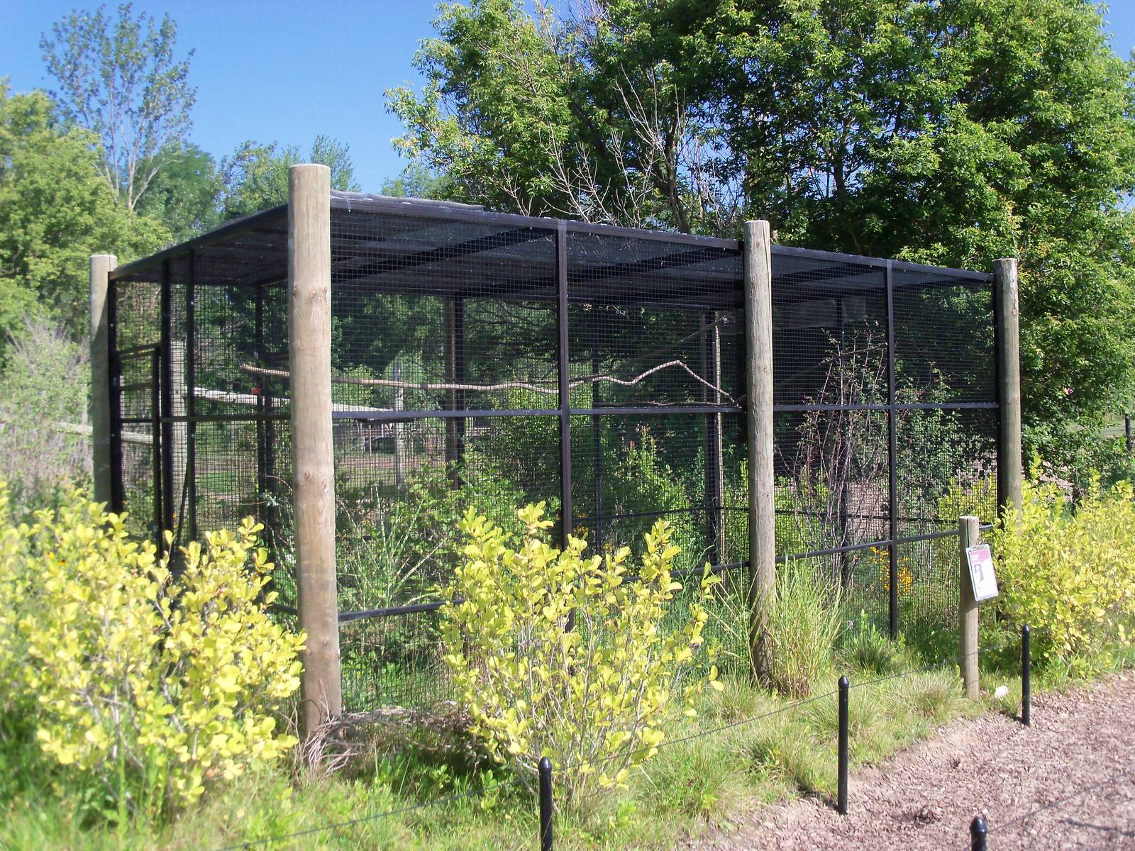 African Journey - Red-Billed Hornbill Exhibit