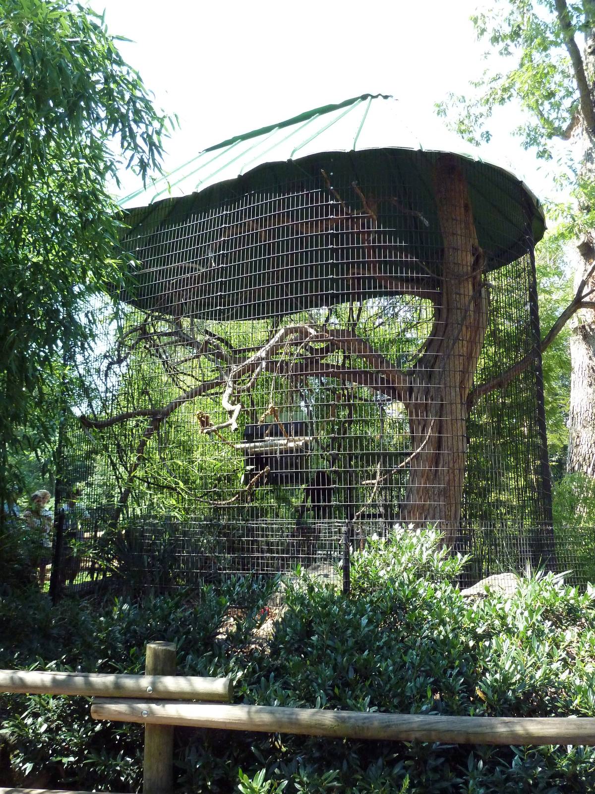 African Journey - Red Ruffed Lemur Exhibit