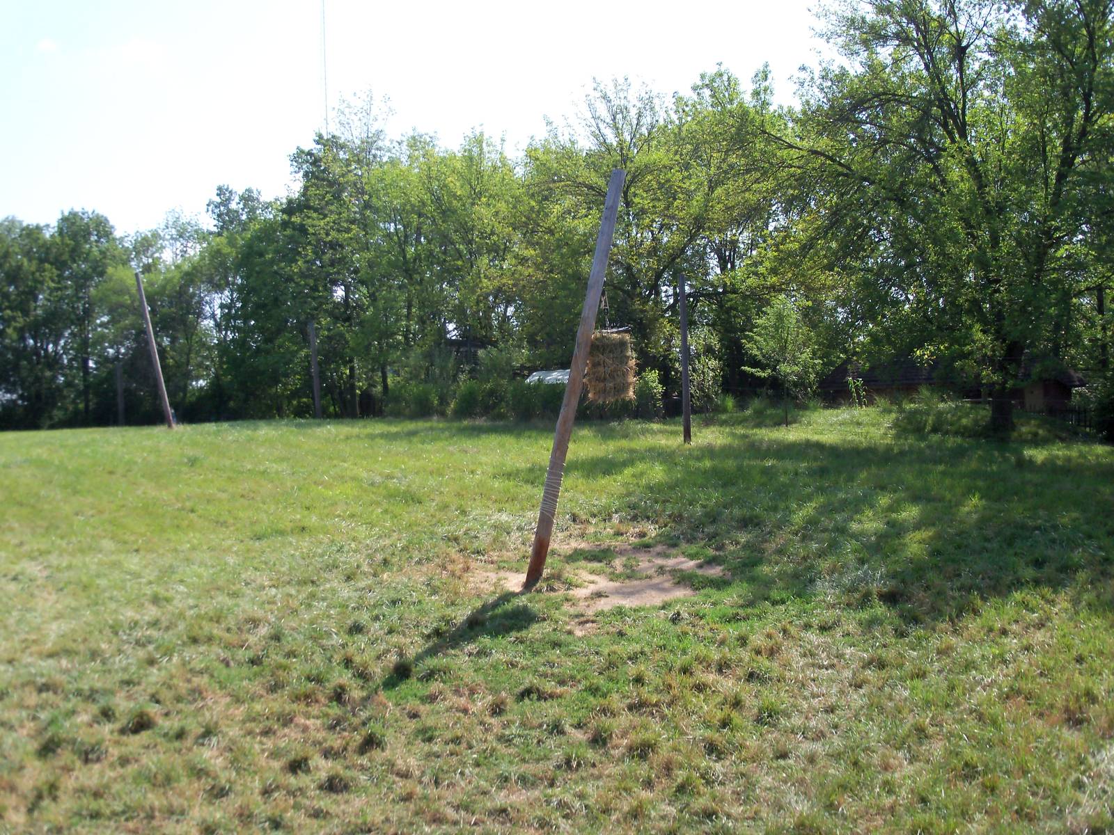 African Journey - Reticulated Giraffe Exhibit