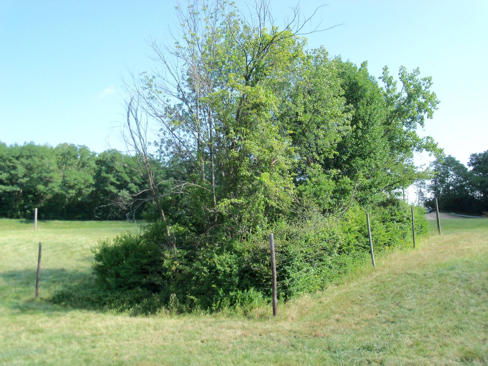 African Journey - Reticulated Giraffe Exhibit