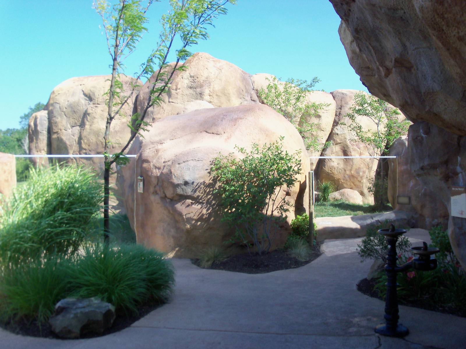 African Journey - Ruppell's Griffon Vulture + Bat-Eared Fox Exhibits