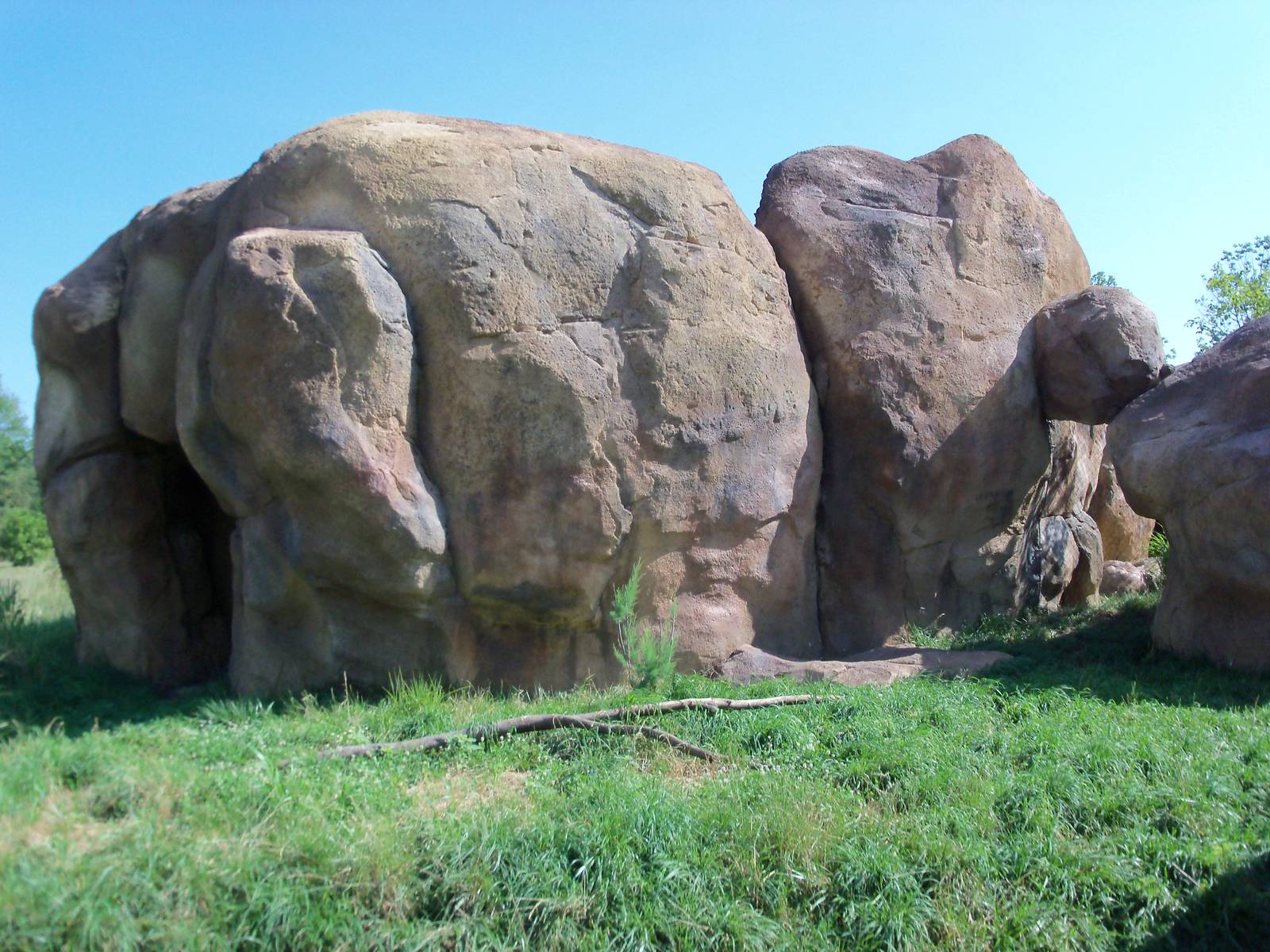 African Journey - Ruppell's Griffon Vulture Exhibit