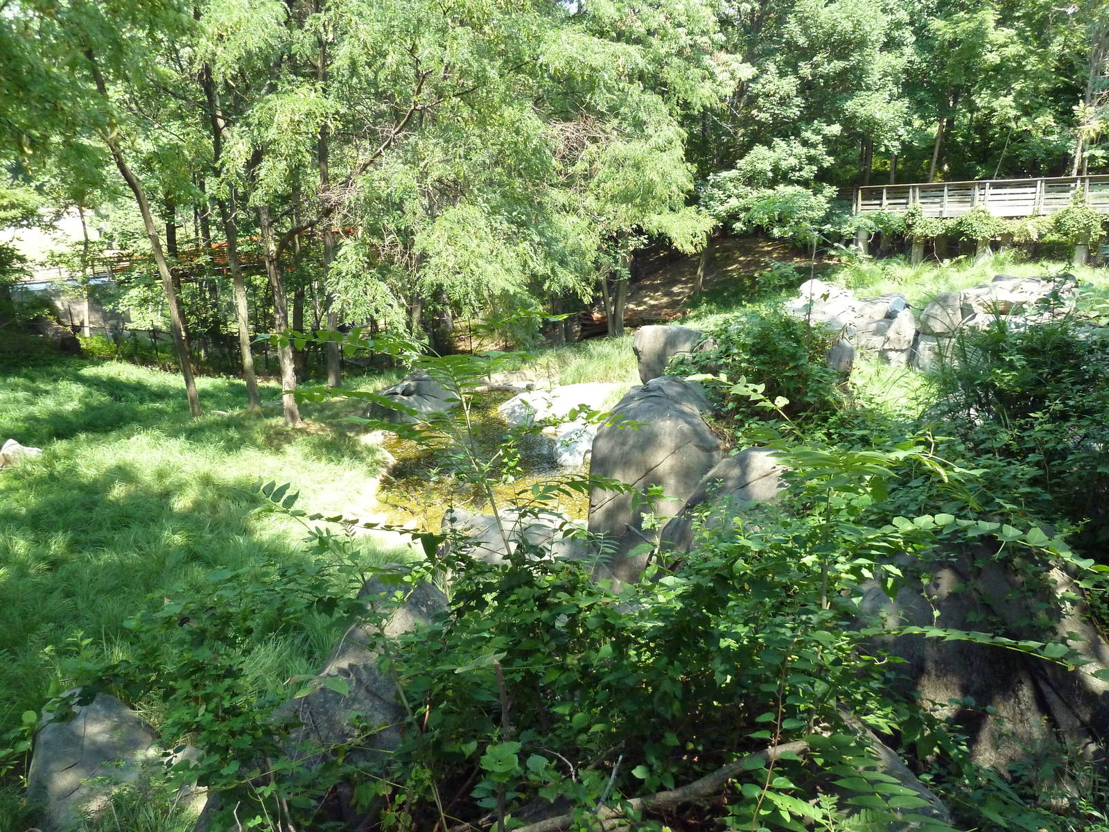 African Journey - Sitatunga/West African Black Crowned Crane/White Stork/Gr