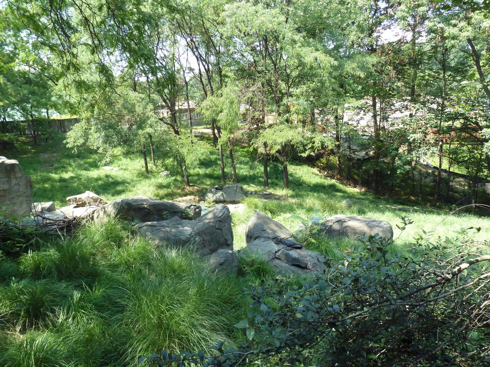 African Journey - Sitatunga/West African Black Crowned Crane/White Stork/Gr