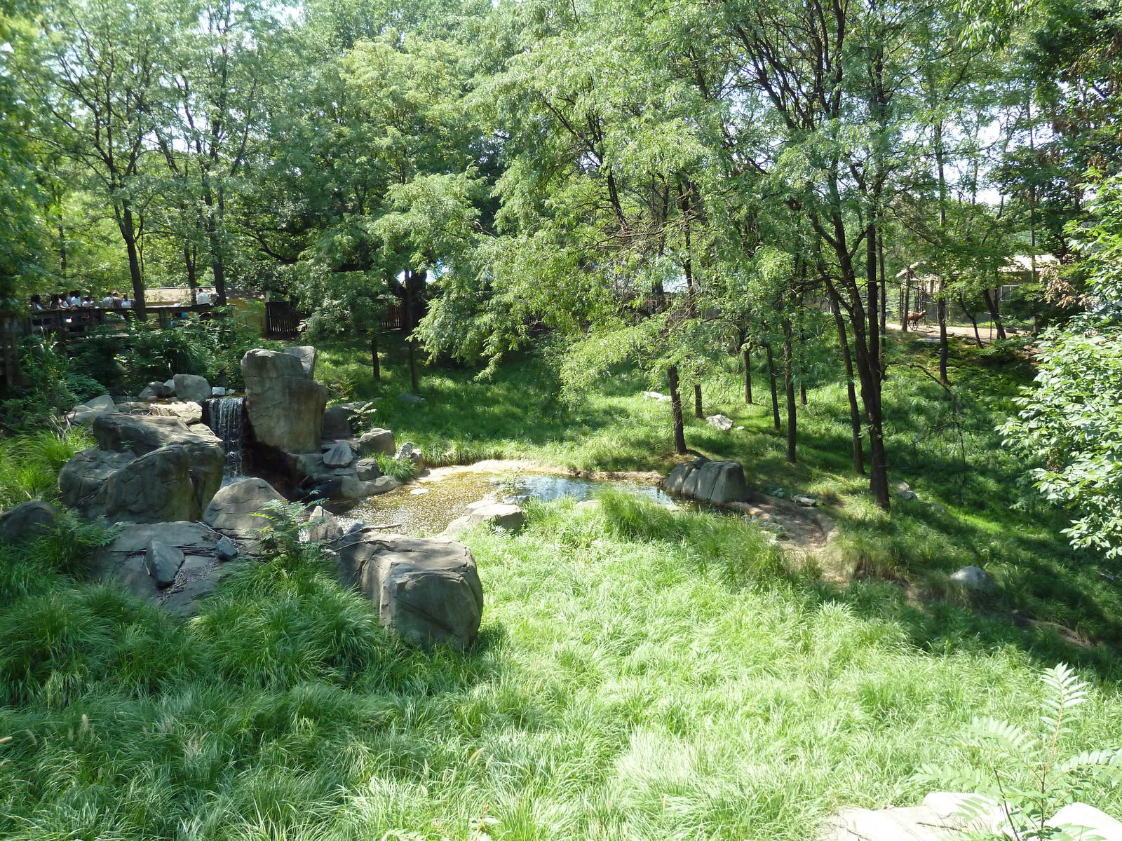 African Journey - Sitatunga/White Stork/West African Black Crowned Crane/Gr