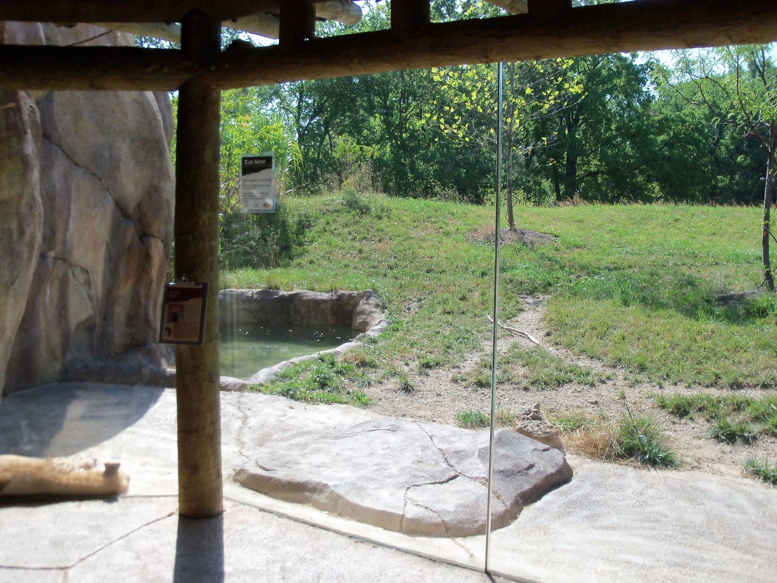 African Journey - Spotted Hyena Exhibit