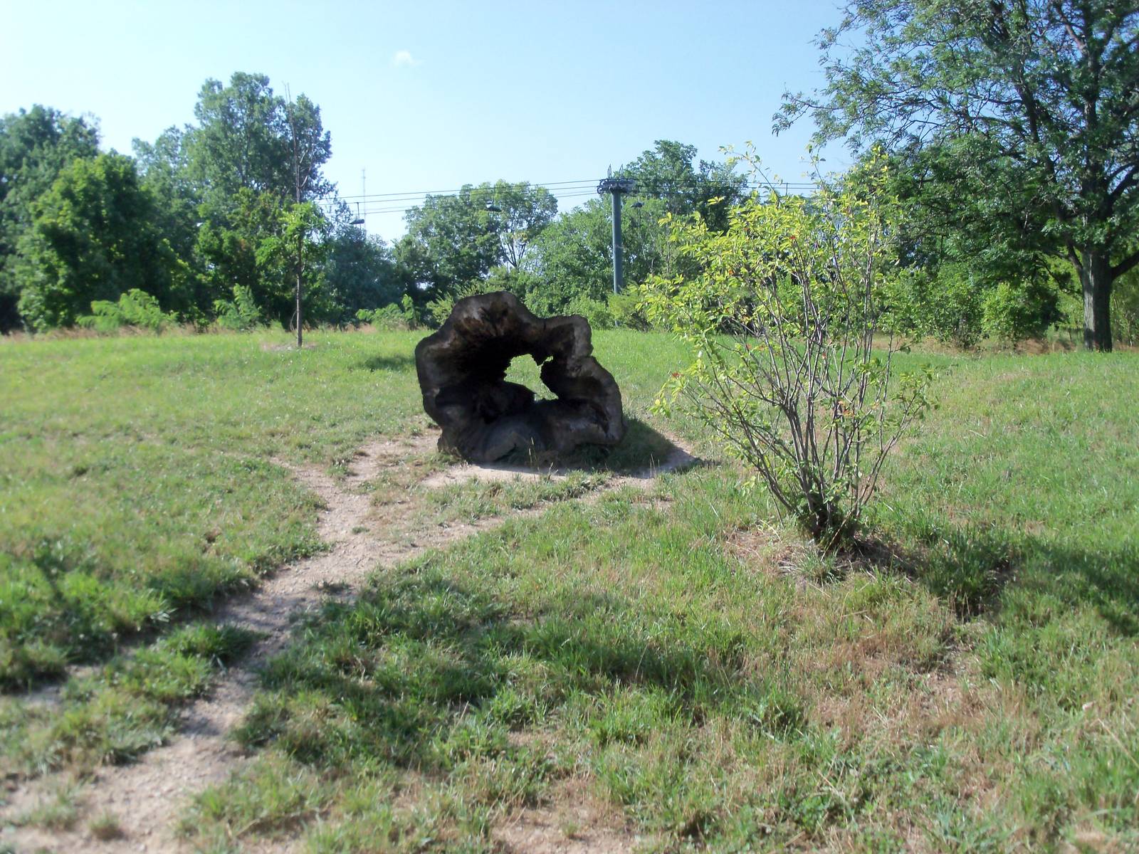 African Journey - Spotted Hyena Exhibit