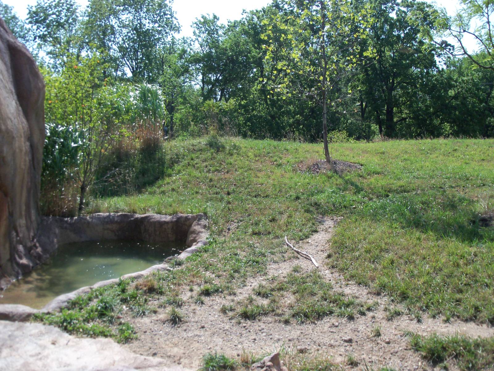 African Journey - Spotted Hyena Exhibit