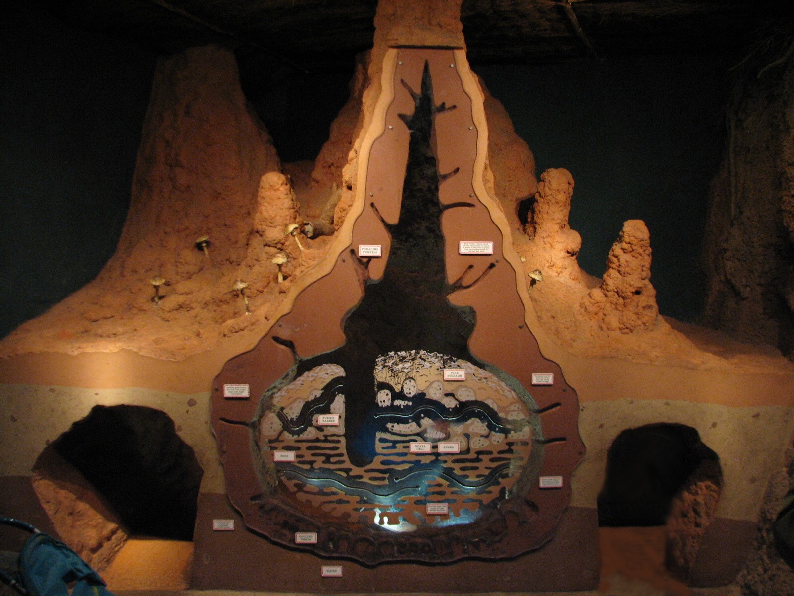 African Journey - Termite Mound Display