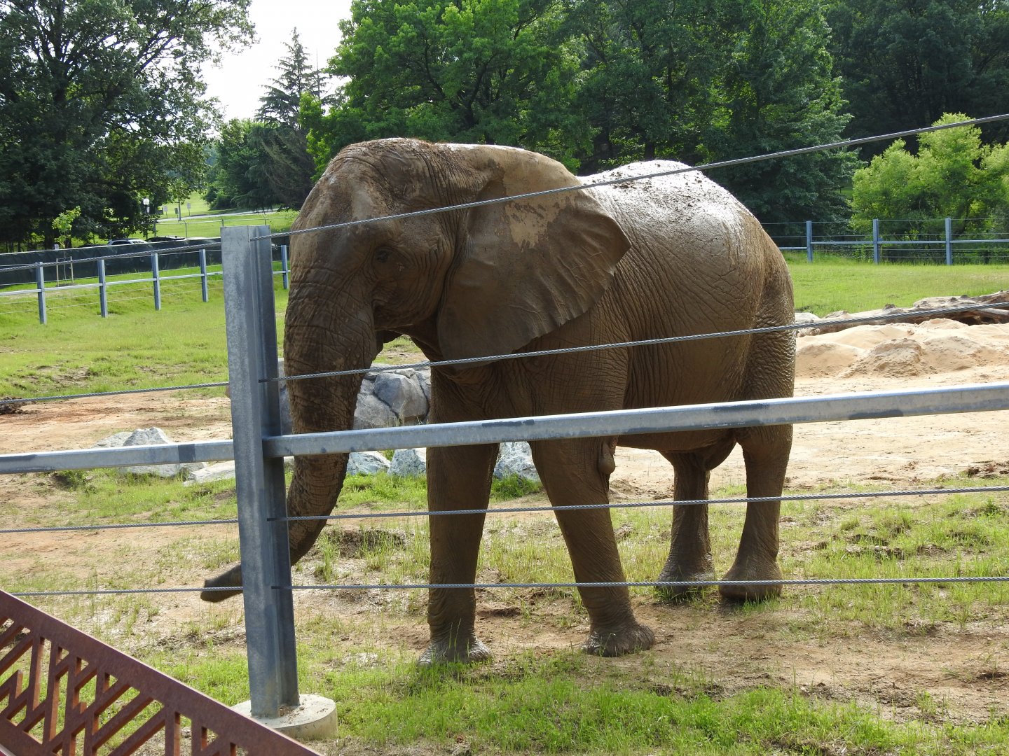 African Journey View from Platform