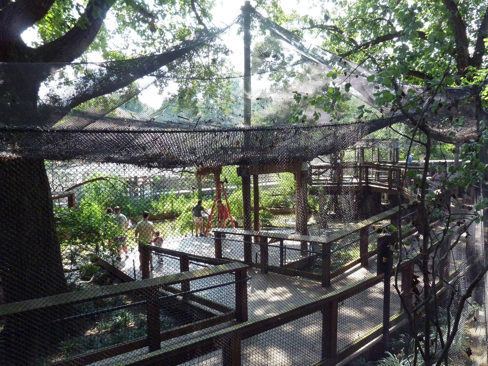 African Journey - Walk-Through Aviary