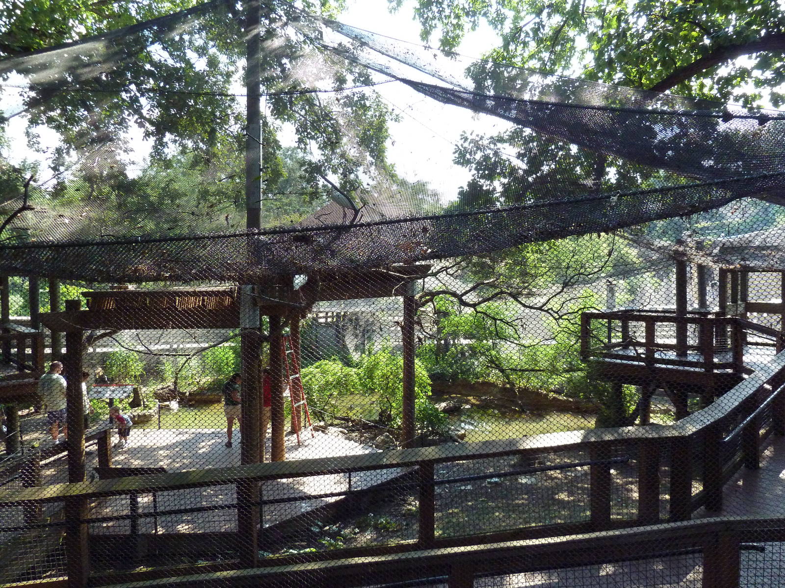 African Journey - Walk-Through Aviary