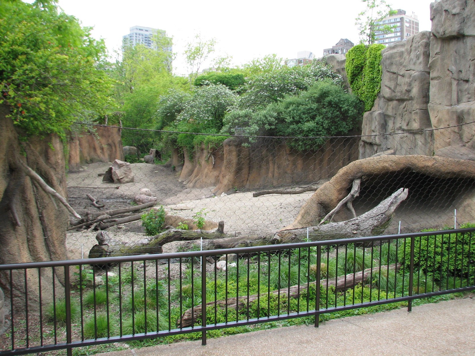 African Journey - Warthog Exhibit