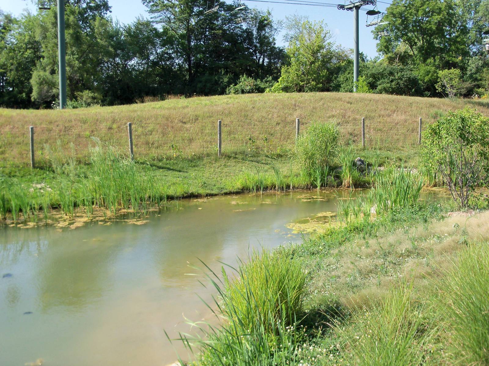 African Journey - White Pelican Pond