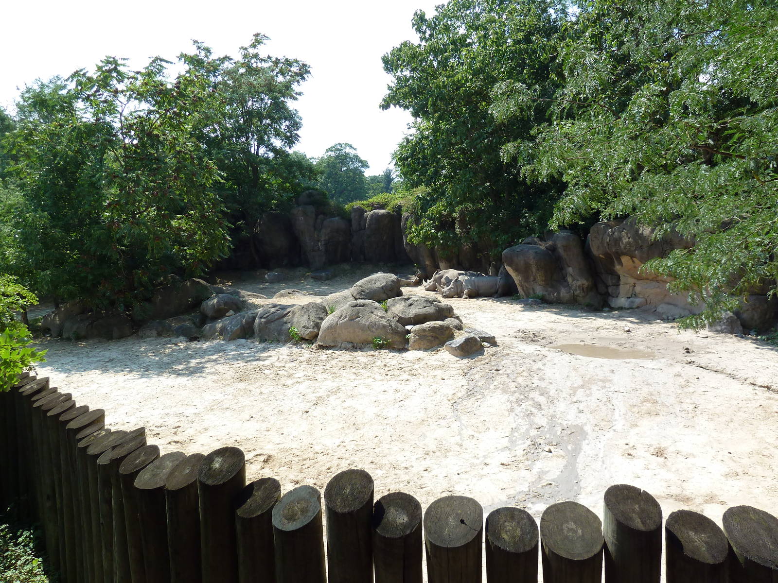 African Journey - White Rhino/Zebra/Ostrich Exhibit