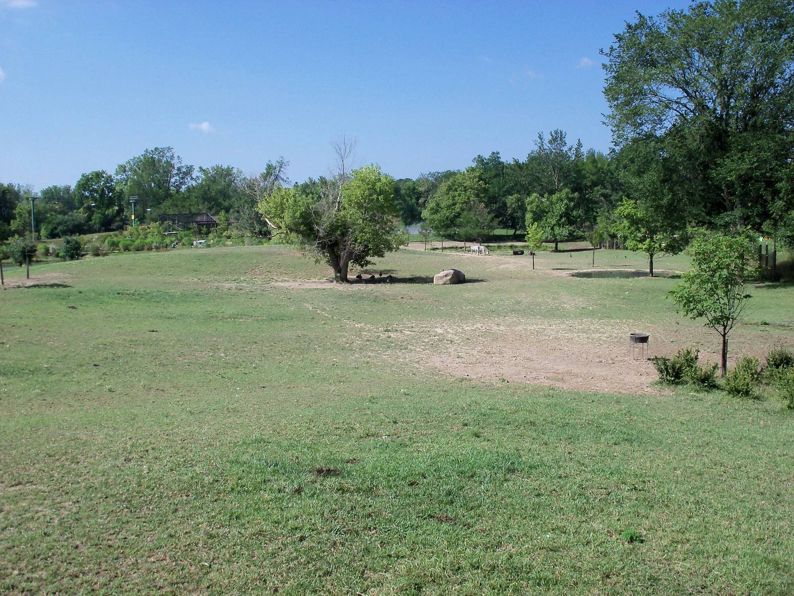 African Journey - Wildebeest/Ostrich/Zebra/White Stork Savanna