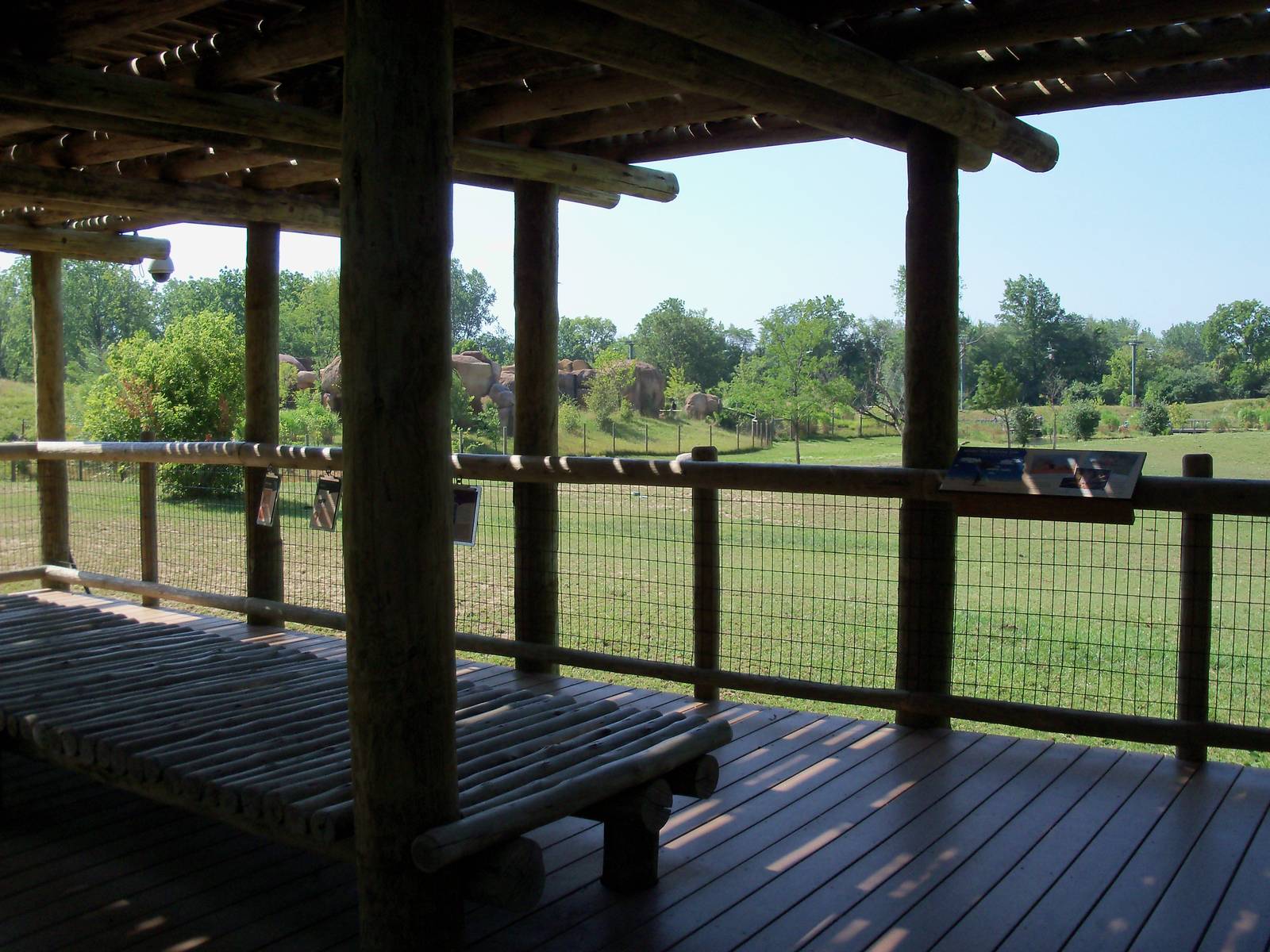 African Journey - Wildebeest/Ostrich/Zebra/White Stork Savanna