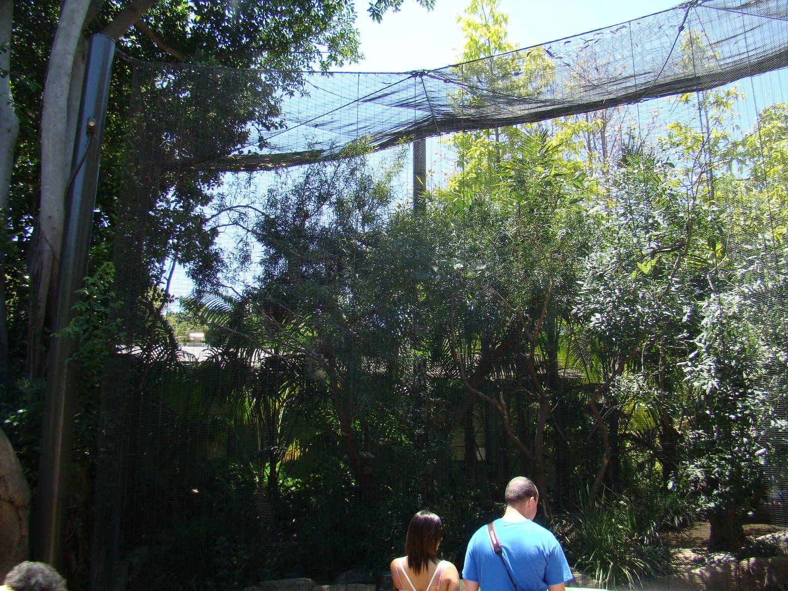 African Kopje aviary