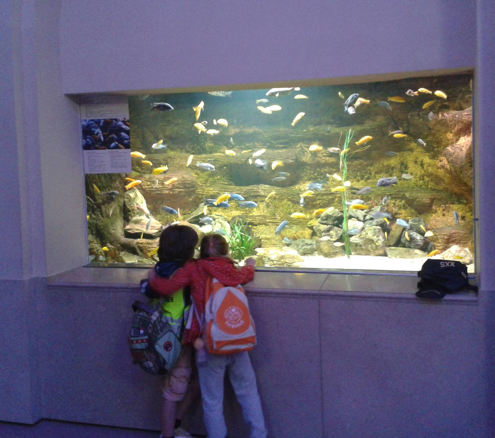 African lakes aquarium