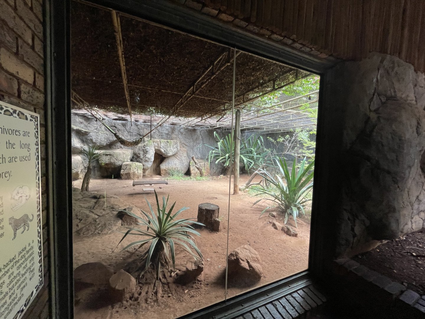 African Leopard Enclosure (Panthera pardus pardus)