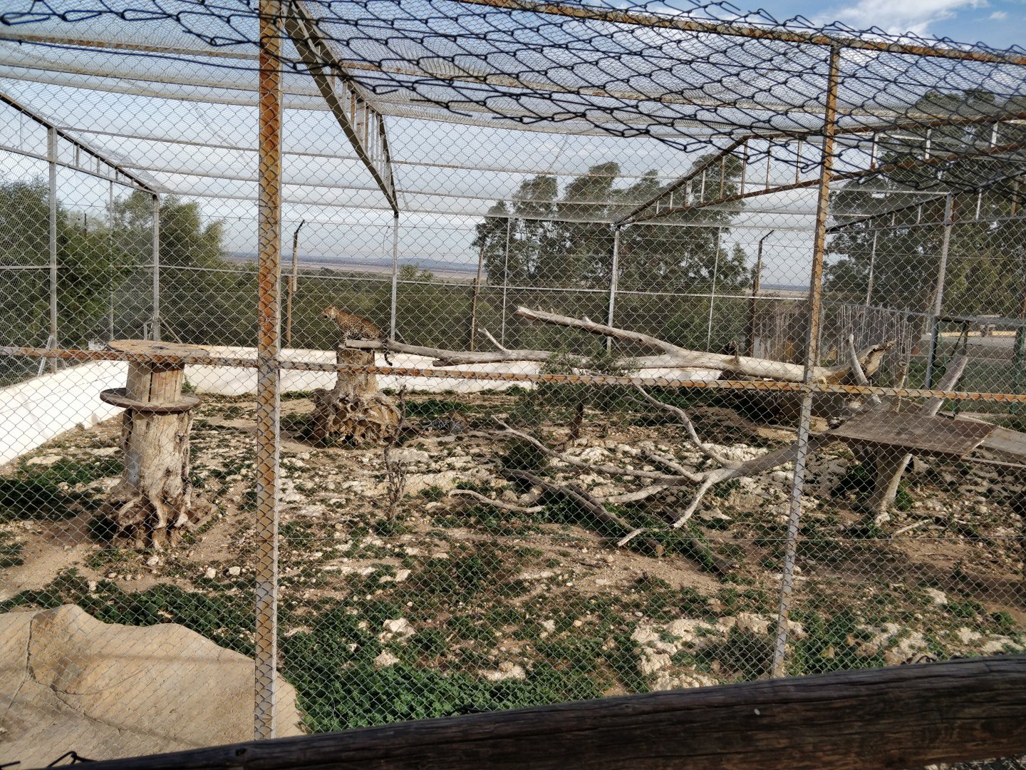 african leopard enclosure
