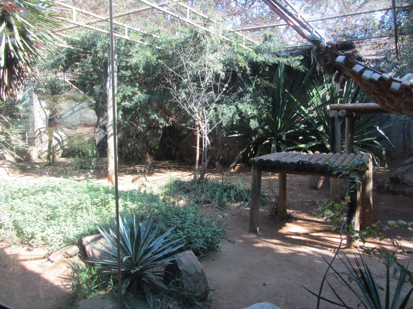 African Leopard Enclosure
