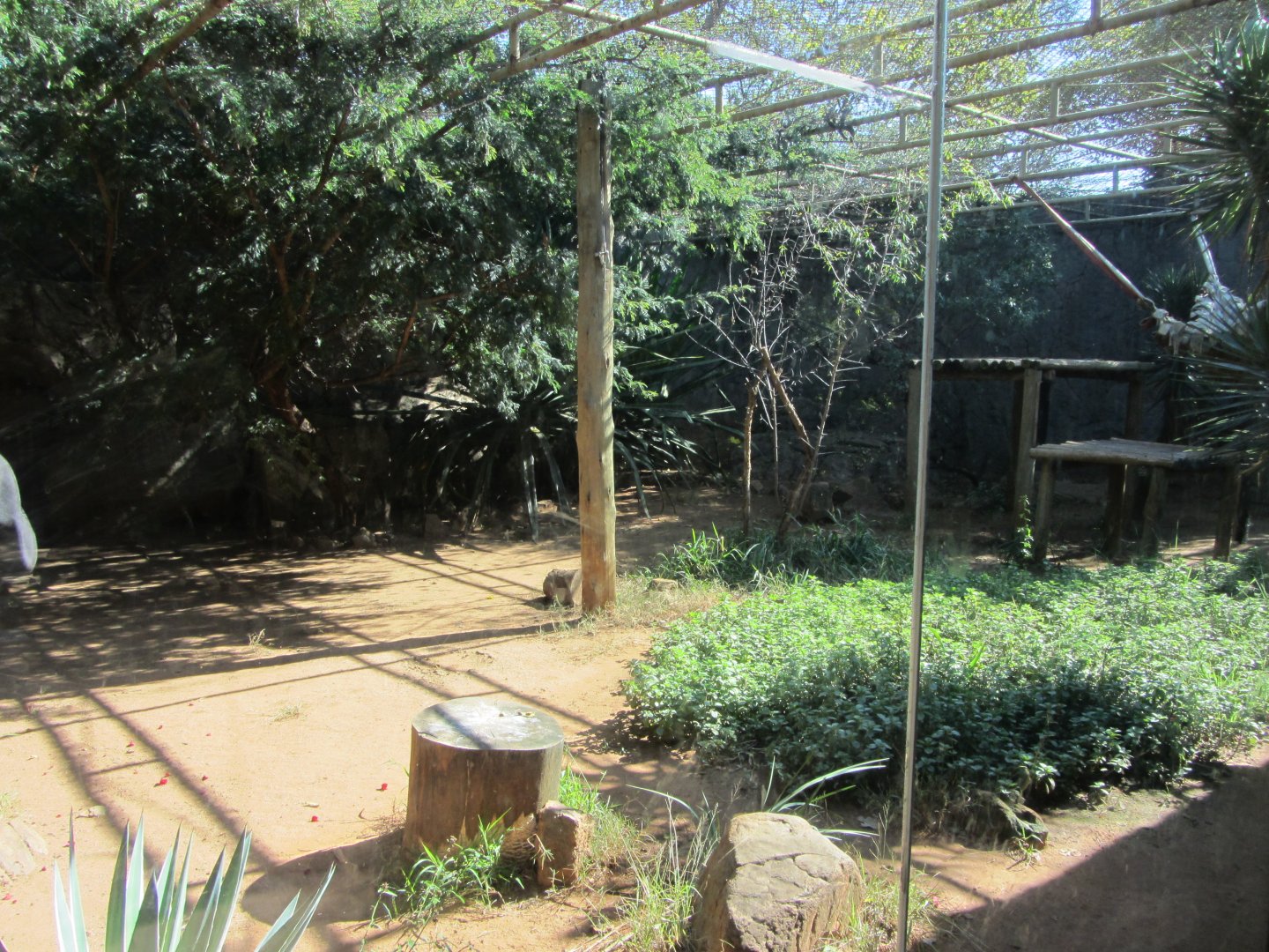 African Leopard Enclosure