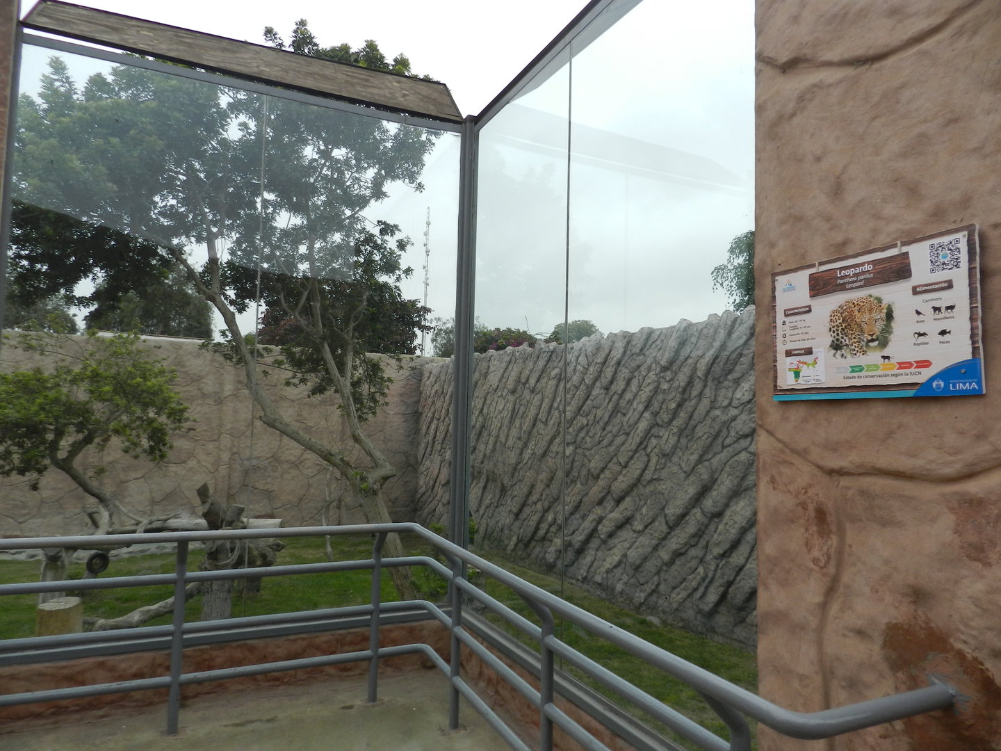 African leopard exhibit - Parque de Las Leyendas
