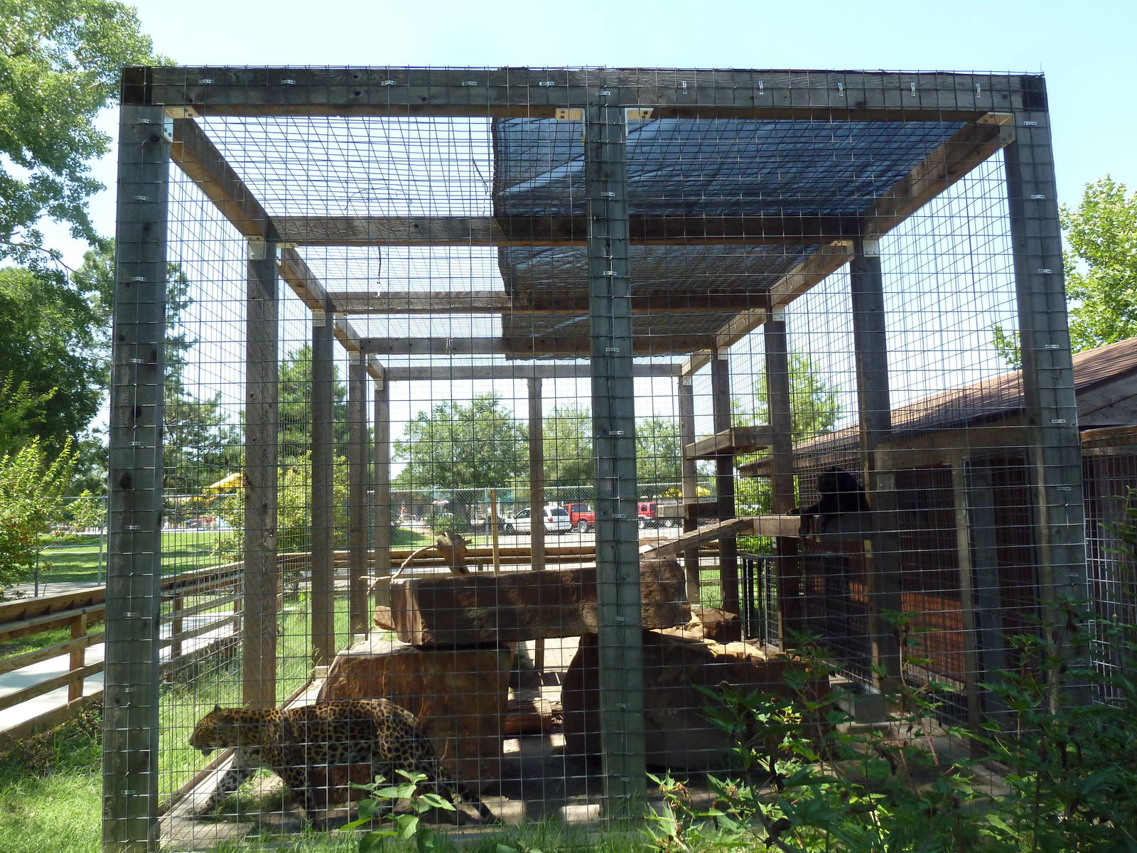 African Leopard Exhibit - Side View