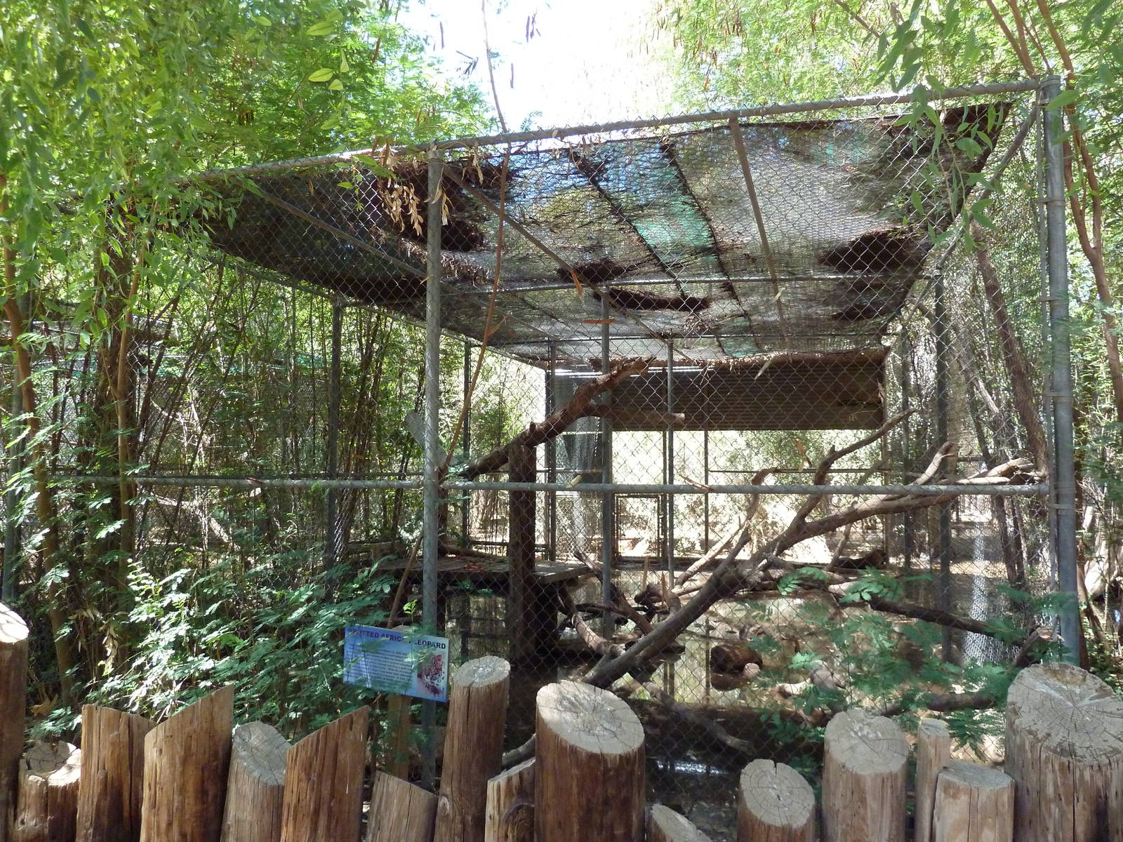 African Leopard Exhibit