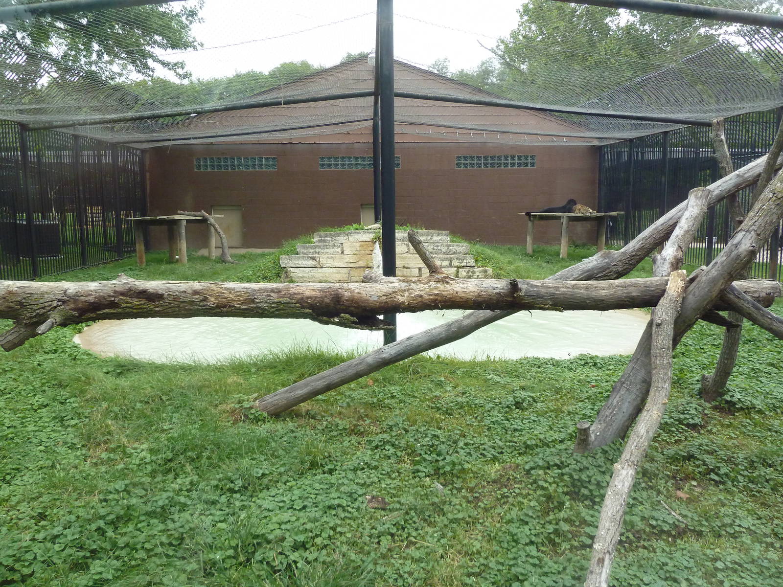 African Leopard Exhibit