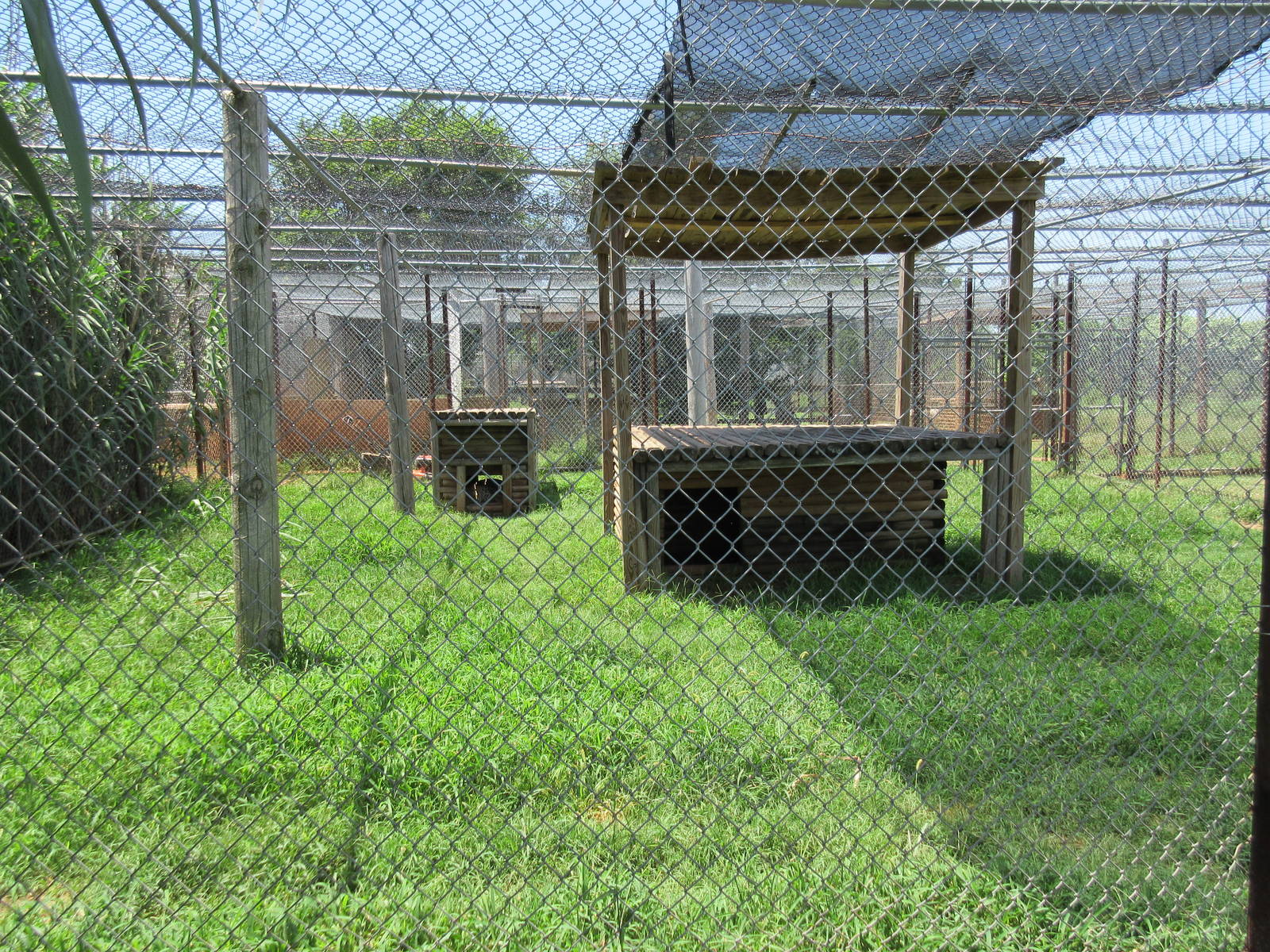 African Leopard Exhibit
