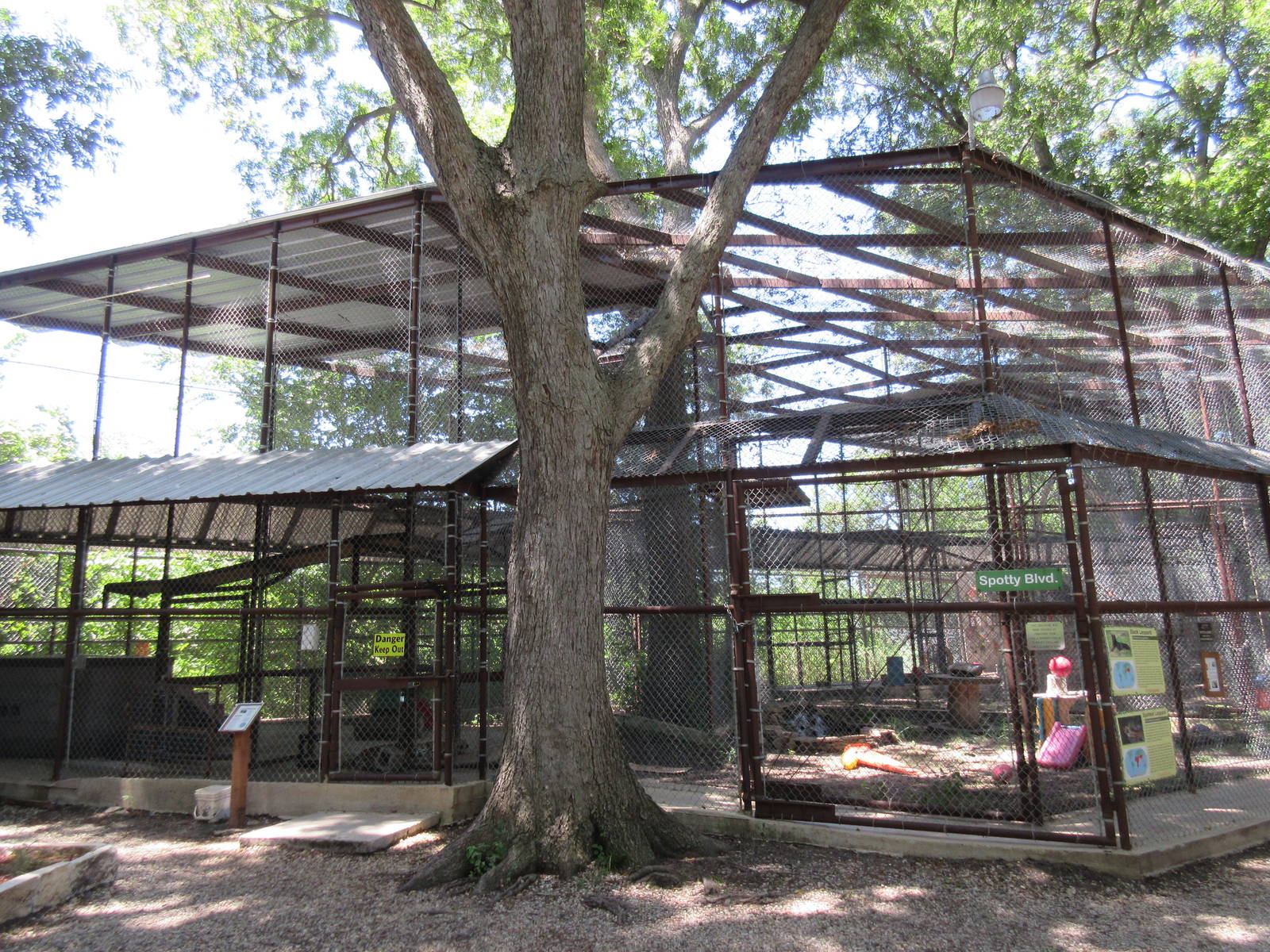 African Leopard Exhibit