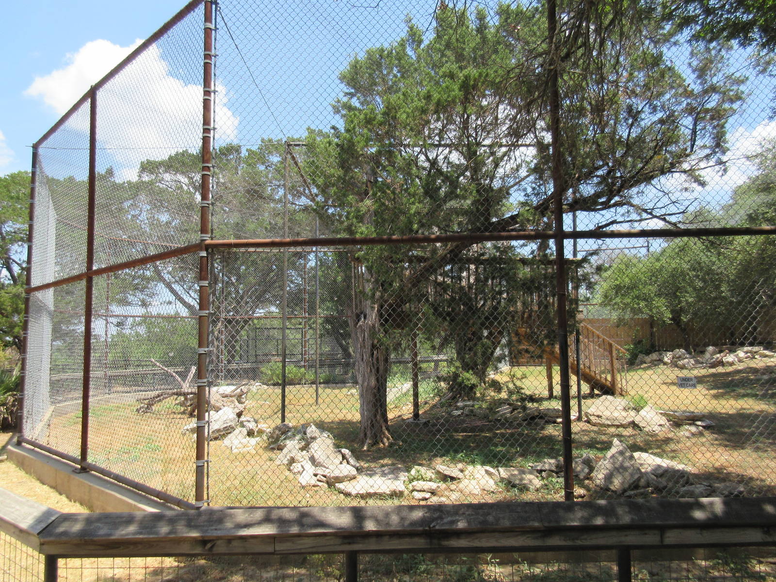 African Leopard Exhibit