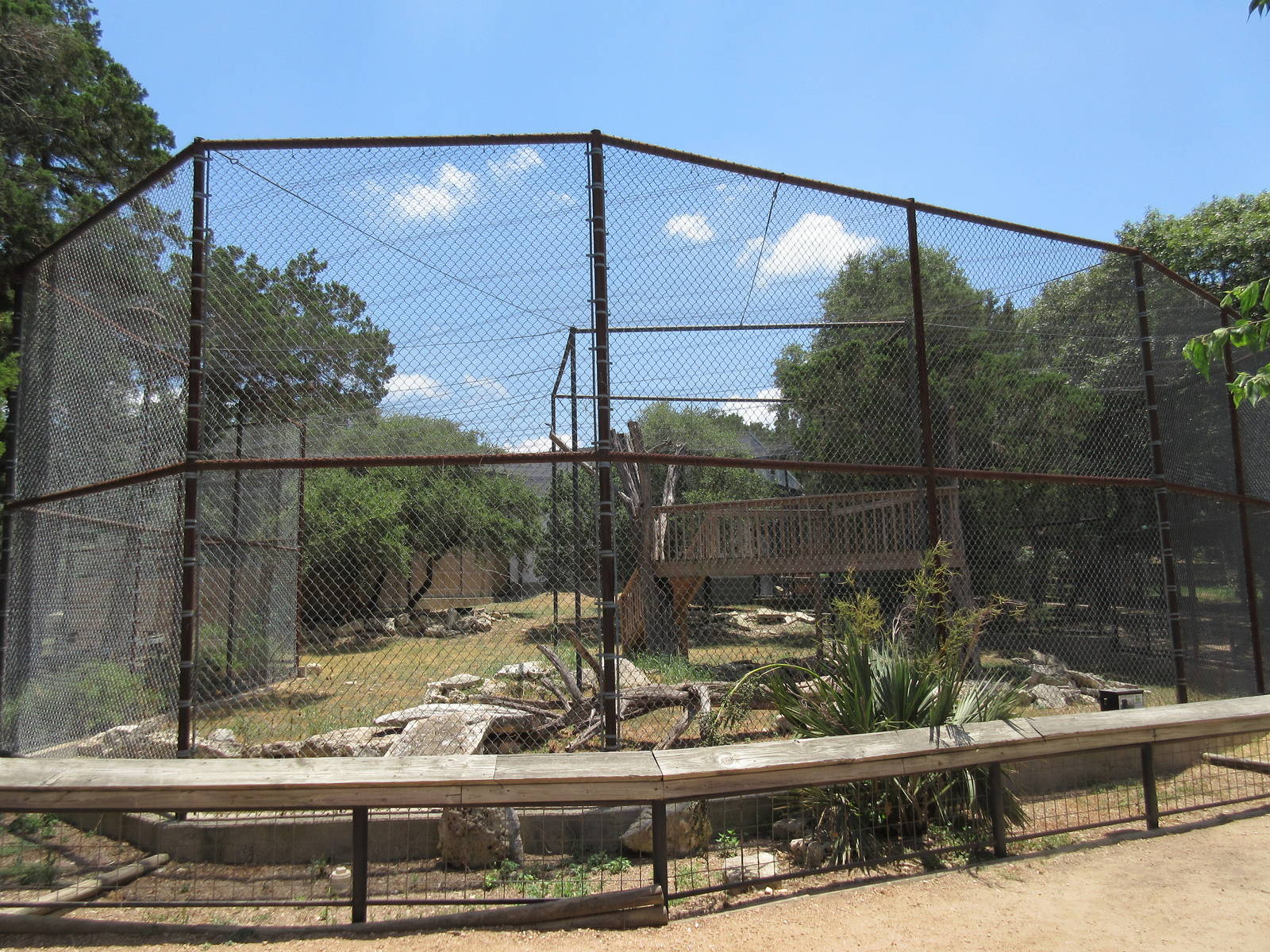 African Leopard Exhibit