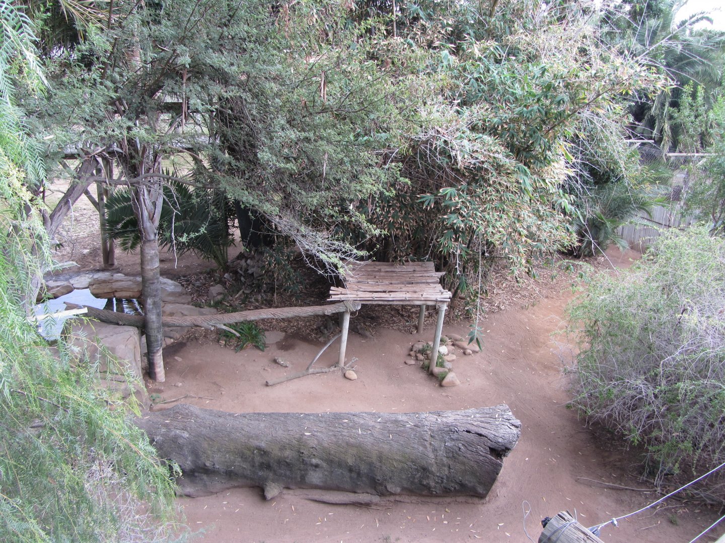 African Leopard Exhibit